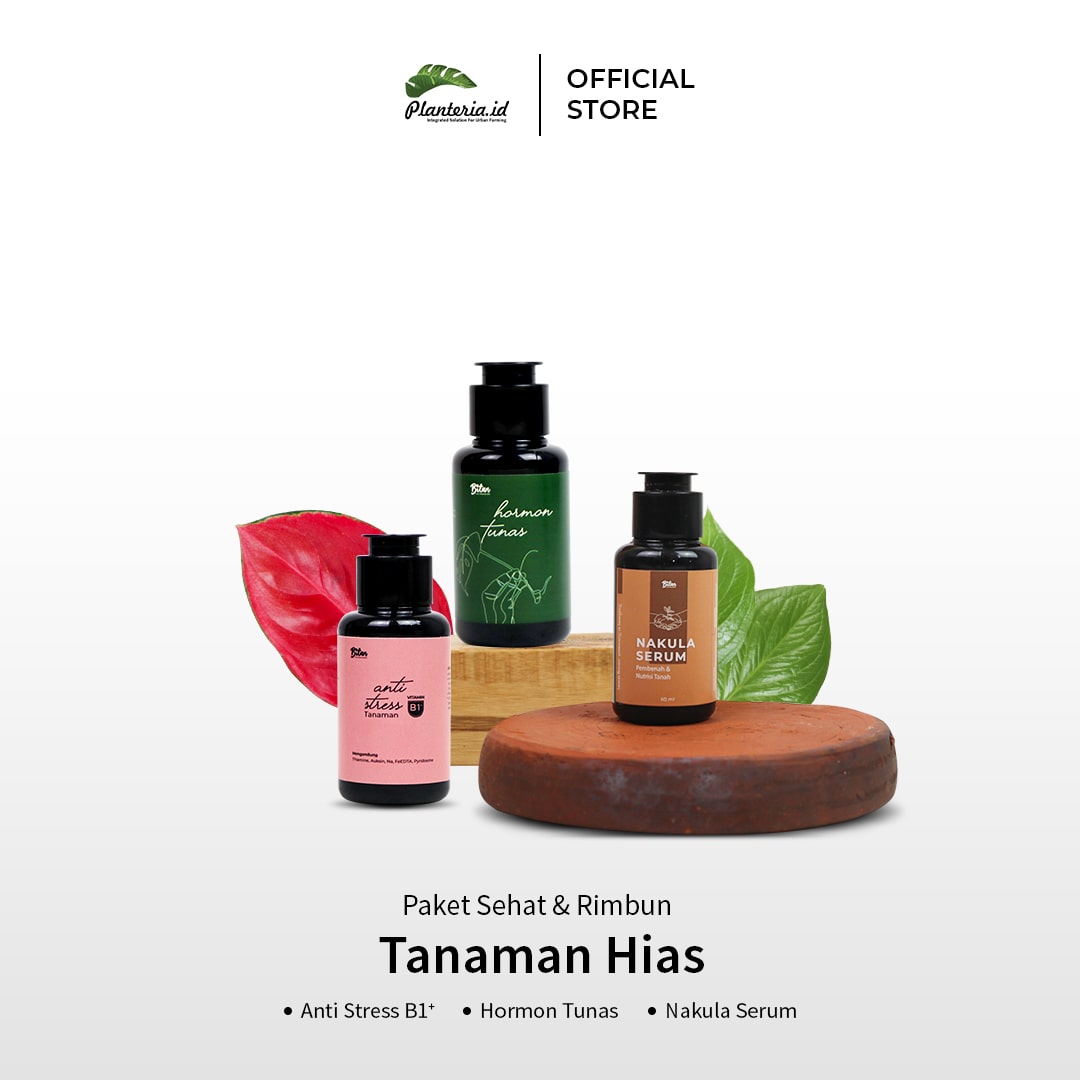 Cara Memperbanyak Philodendron dari Stek: Panduan Lengkap untuk Pemula dan Profesional